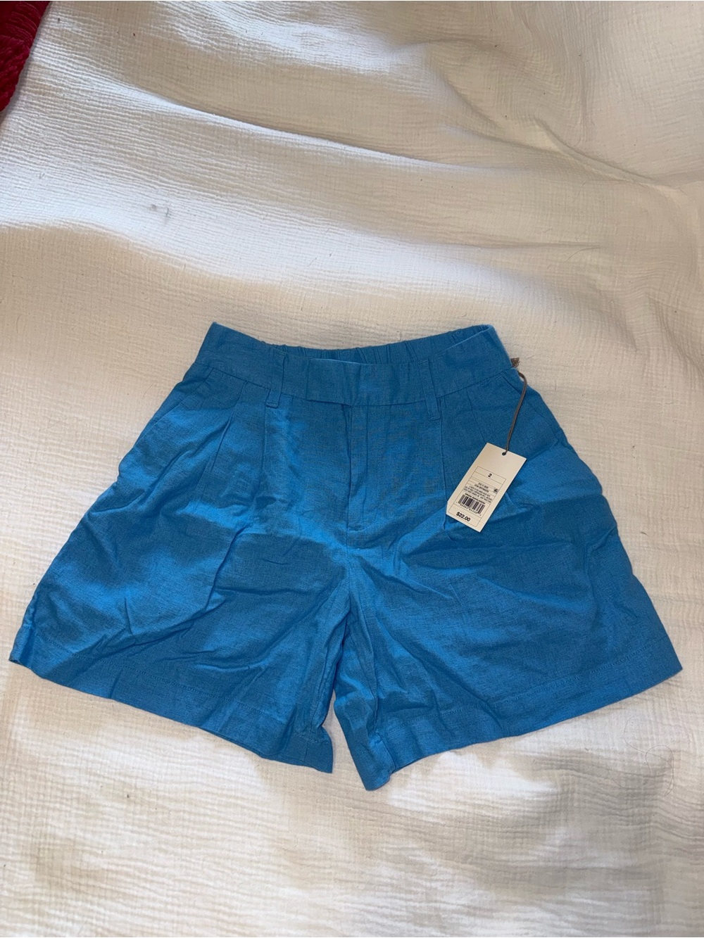 Target Bright Blue High-Waist Pleated Women's Shorts